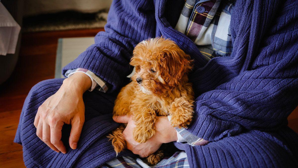 Як правильно зігрітися взимку на дворі та вдома Як правильно зігрітися взимку на дворі та вдома