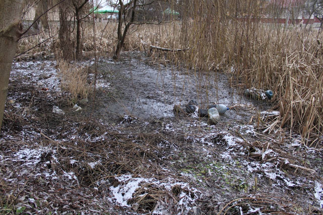 У Рівному розчищають рекреаційні зони на вулиці Степана Бандери
