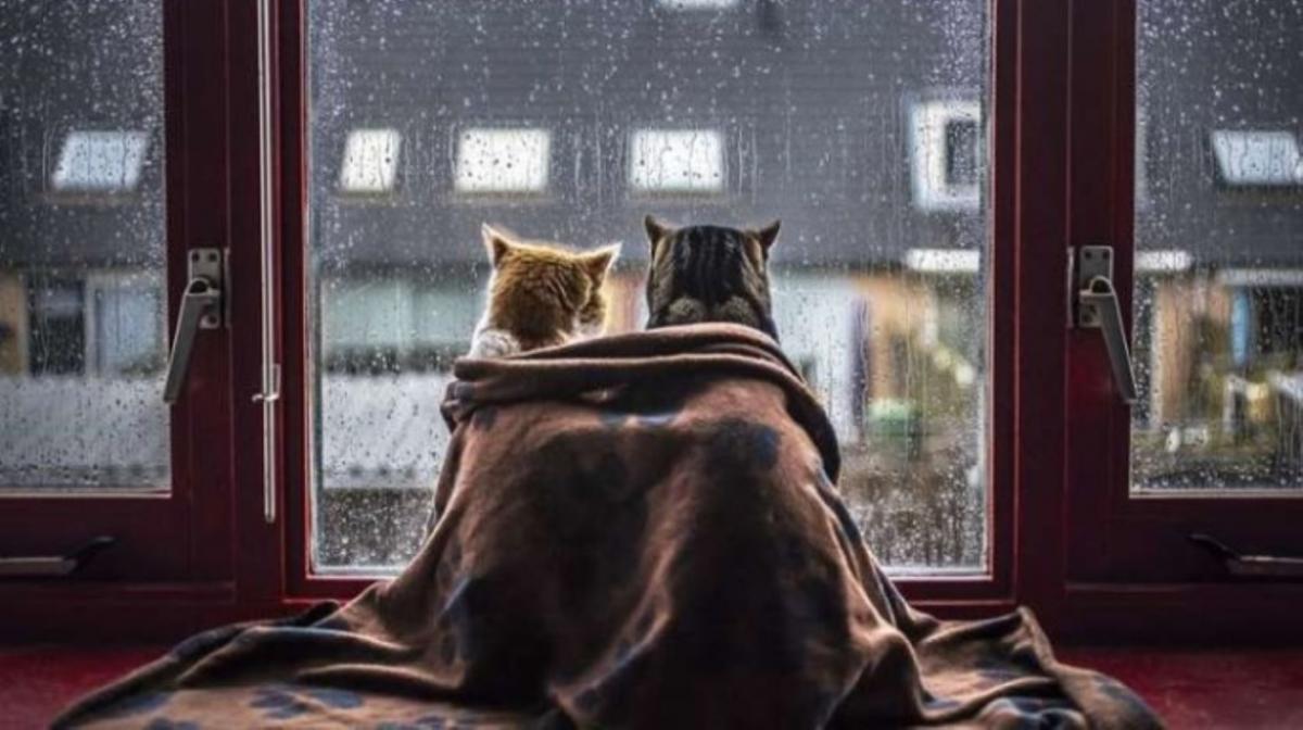зниження температури