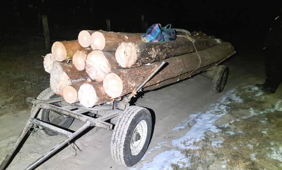 На Рівненщині поліцейські викрили незаконних лісорубів