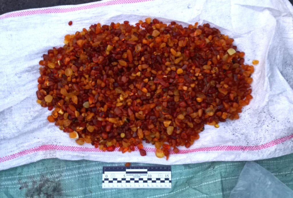 42 кілограми бурштину вилучили поліцейські на Рівненщині у жителя Житомирщини