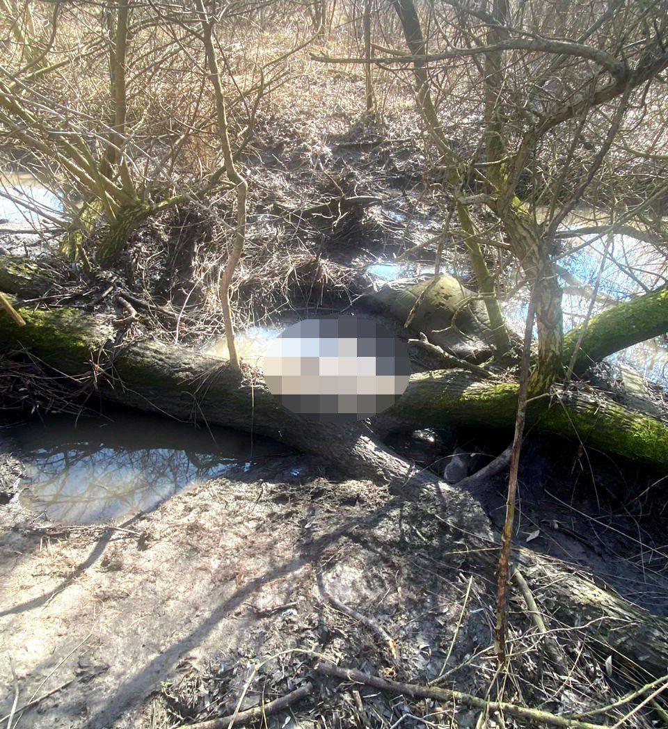 Безвісти зниклу 87-річну рівнянку розшукали без ознак життя