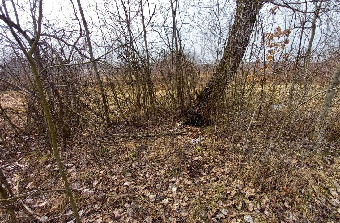 Через "викрадення" дитини