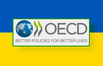 В Україні відкрився офіс Організації економічного співробітництва та розвитку