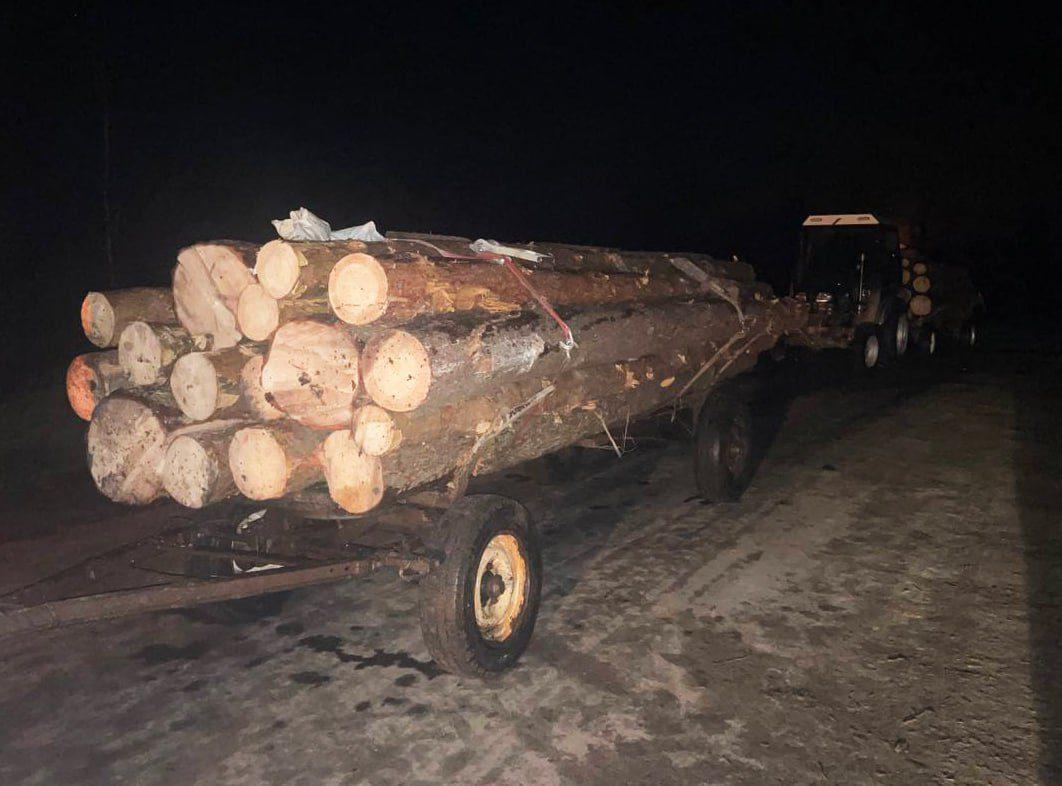 Майже 15 кубометрів незаконної деревини вилучили поліцейські на Рівненщині: відкрито кримінальні провадження