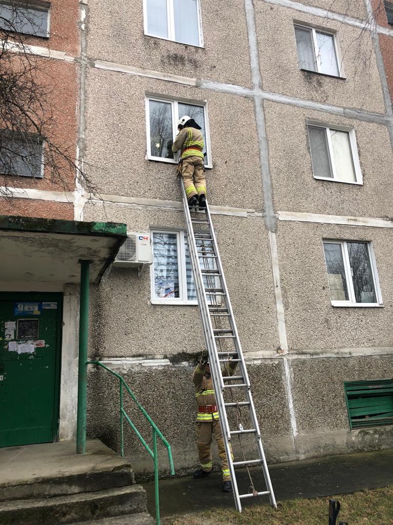 відкрили вхідні двері квартири де перебувала літня жінка2