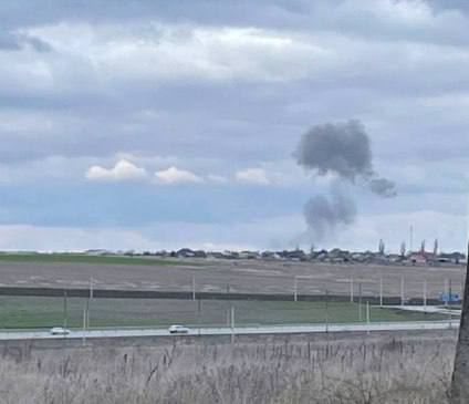 У Криму на аеродромі в Гвардійському розцвіла бавовна