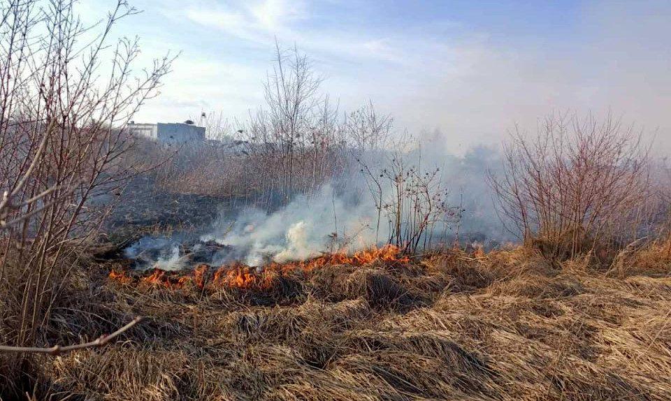 У Здолбунівському Гідропарку зловмисники підпалили траву