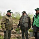 Висадка дерев на Костопільщині.
