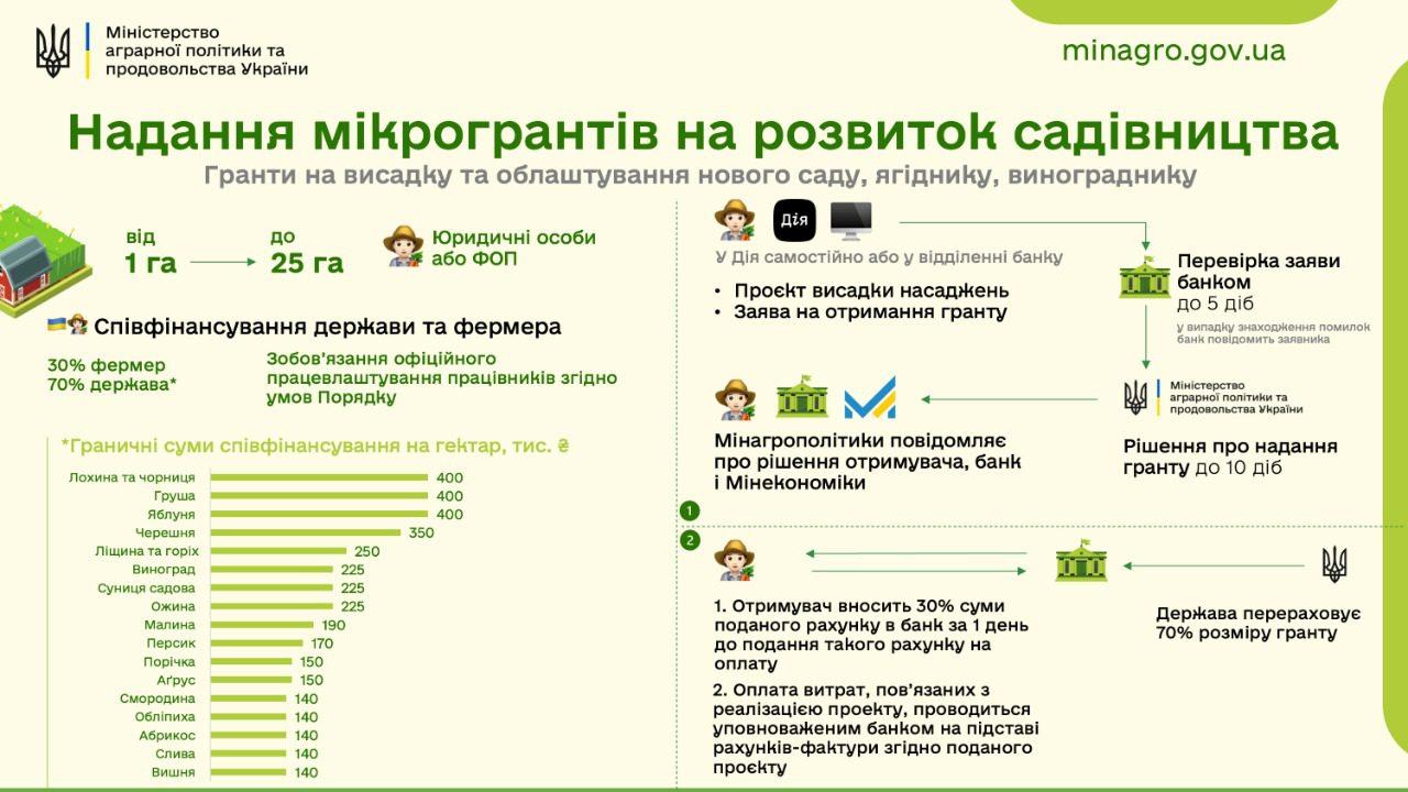 Кабмін започаткував урядову програму безповоротних грантів єРобота