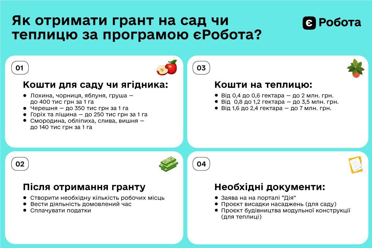 Кабмін започаткував урядову програму безповоротних грантів єРобота