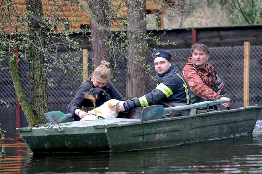 В Україні підтоплено 1,5 тисячі господарств і 330 будинків