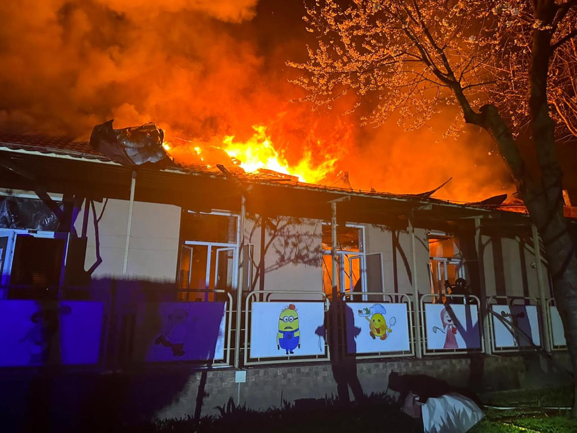 Вночі ворог випустив 12 безпілотників по Одеській області