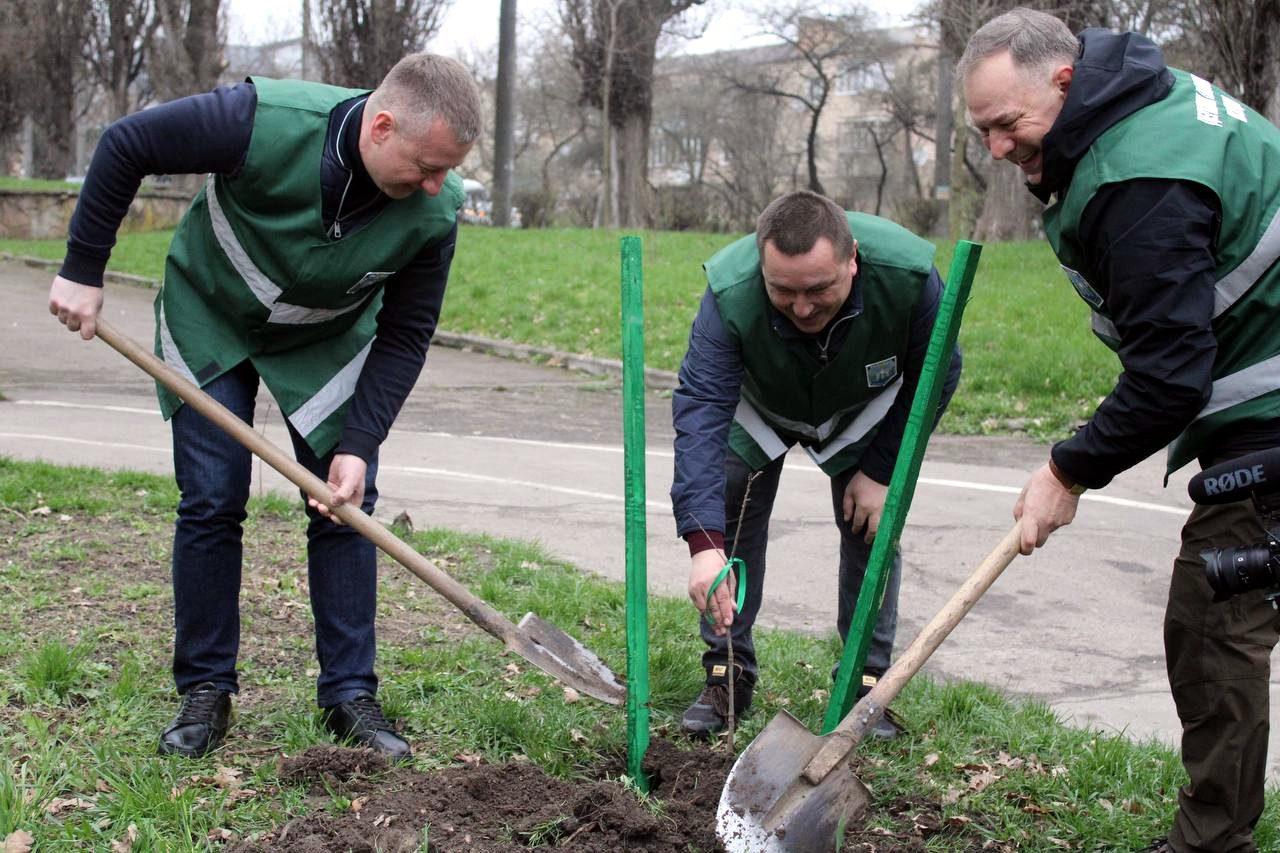 Висадка Шевченкових дубів.