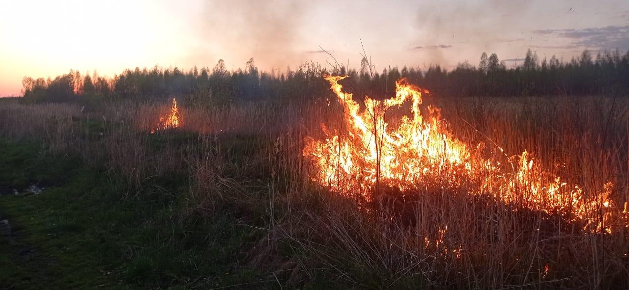 Дубровицькі рятувальники ліквідували пожежу сухої трави