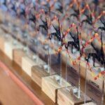 Турнір з греко-римської боротьби.