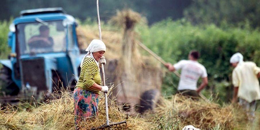 У селах жінки отримують на 15% меншу зарплатню ніж чоловіки Праця в селі.