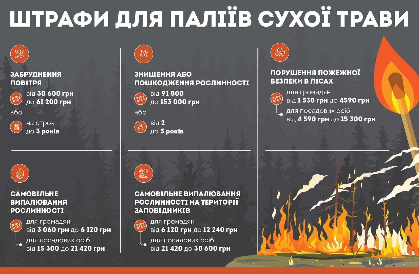 На Рівненщині попереджають: паліям сухої рослинності загрожують багатотисячні штрафи