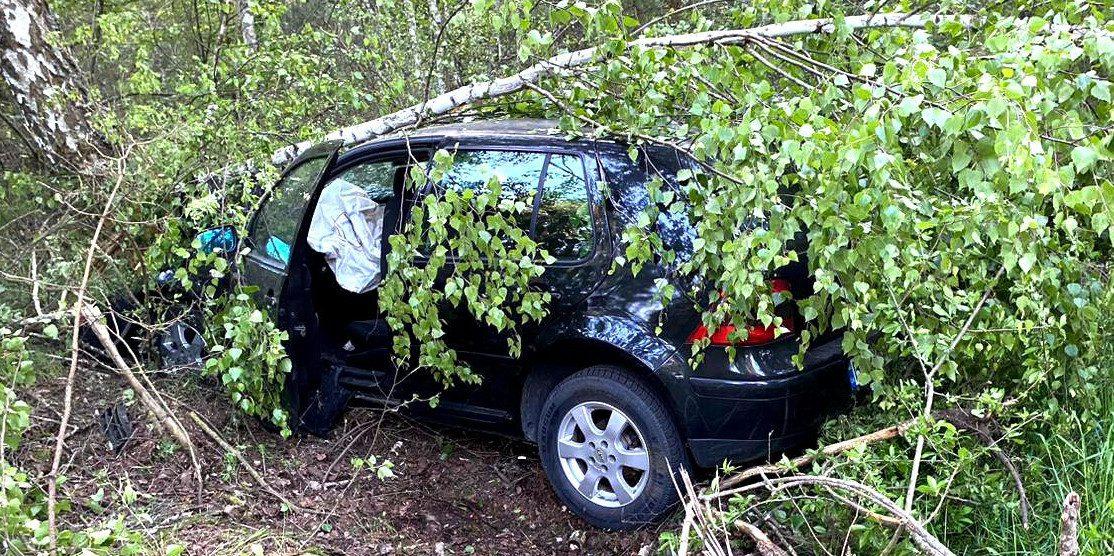 Місце пригоди.