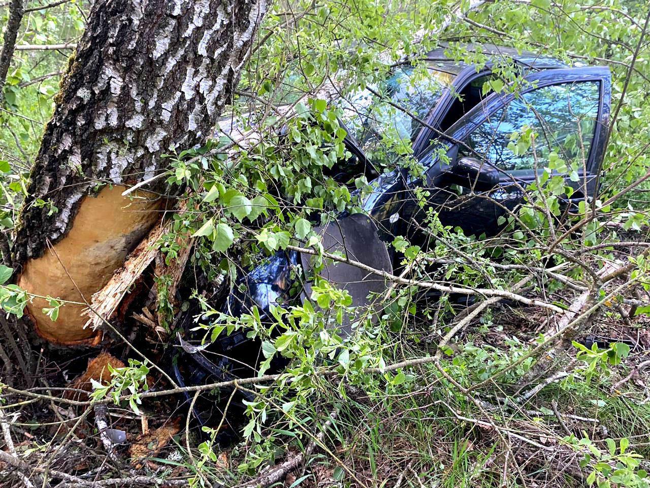 Місце пригоди.