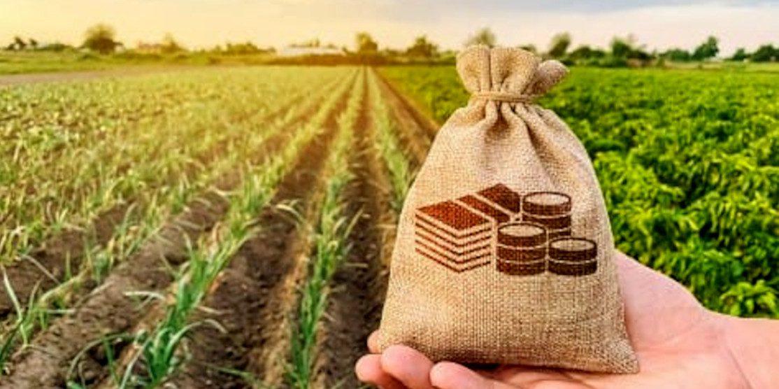 Аграрії Рівненщини отримали понад пів мільярда гривень доступних кредитів