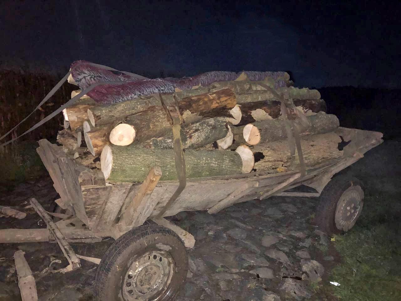 За вирубку дерев постане перед судом