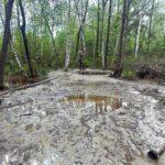 Місце видобутку бурштину.