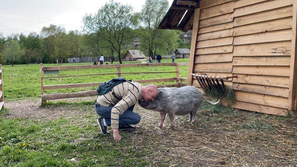 Віддав свиню, бо йде воювати (відео)