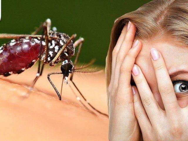 Укуси комах: як надати першу допомогу