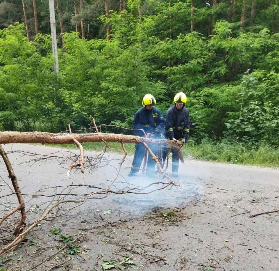 Повалене дерево на Рівненщині завдало клопоту рятувальникам