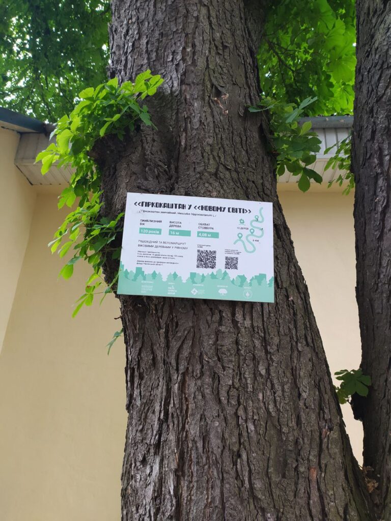 hirkokashtan