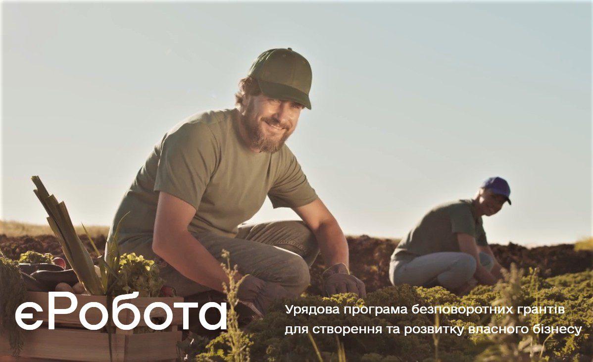 Найбільша кількість отриманих мікрогрантів на Рівненщині у торгівлі