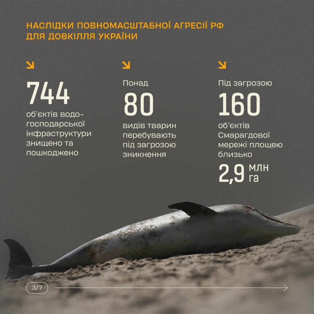 info_03