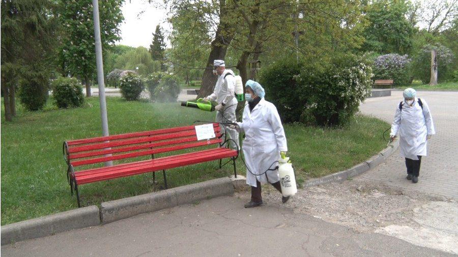 Знищують бур’яни у Рівному не шкідливим розчином