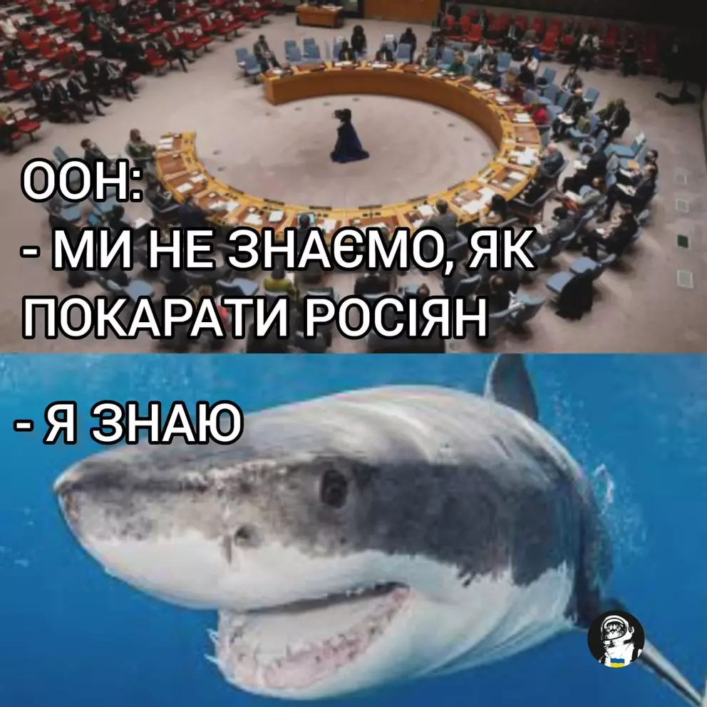 memy-pro-akulu