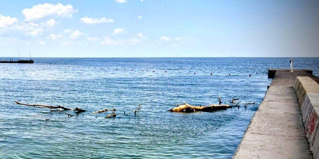 В Одесі виявили холероподібний вібріон у морській воді
