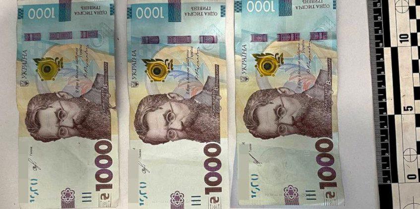 Перевозив деревину без документів