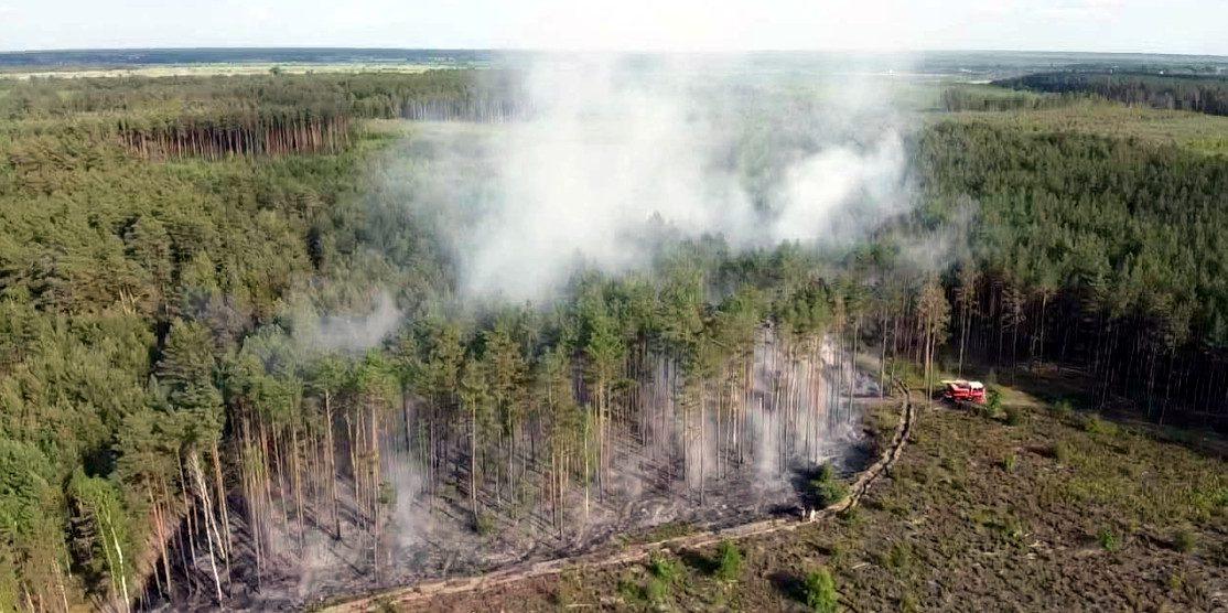 У Вараському районі ліквідували низову лісову пожежу