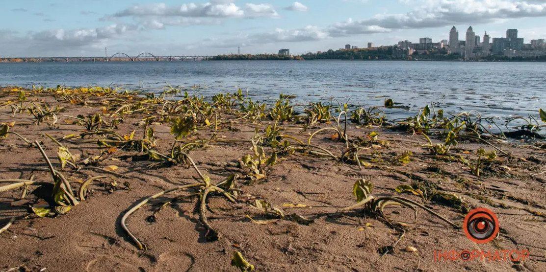 Вода у Дніпрі повернулась у межі русла