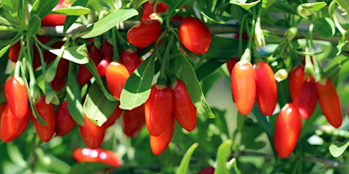 Деякі продукти, користь яких переоцінена