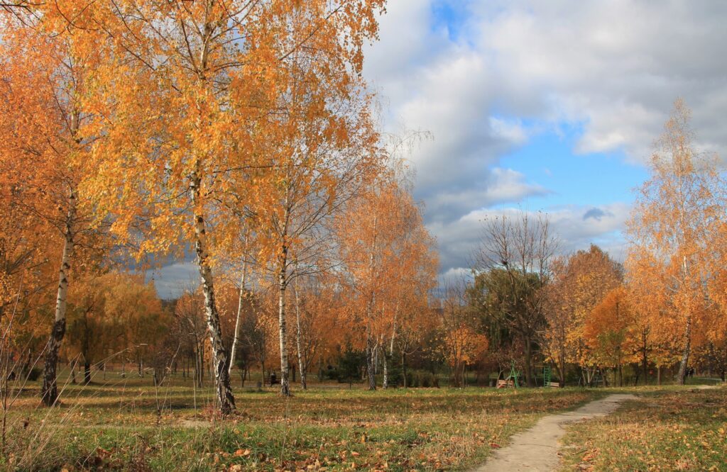 Ostanni-tepli-dni-lystopada