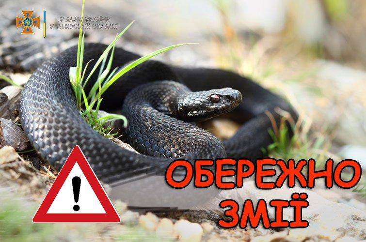 Три види змій зустрічаються на Рівненщині