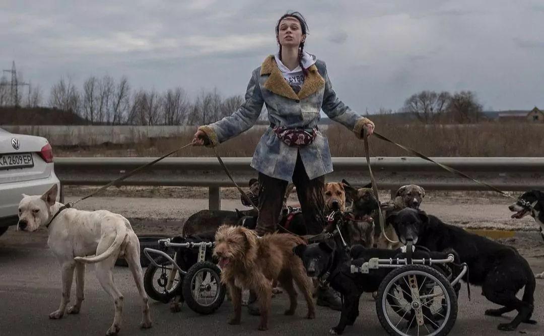 Мурал присвячений відомій зоозахисниці буде у Києві