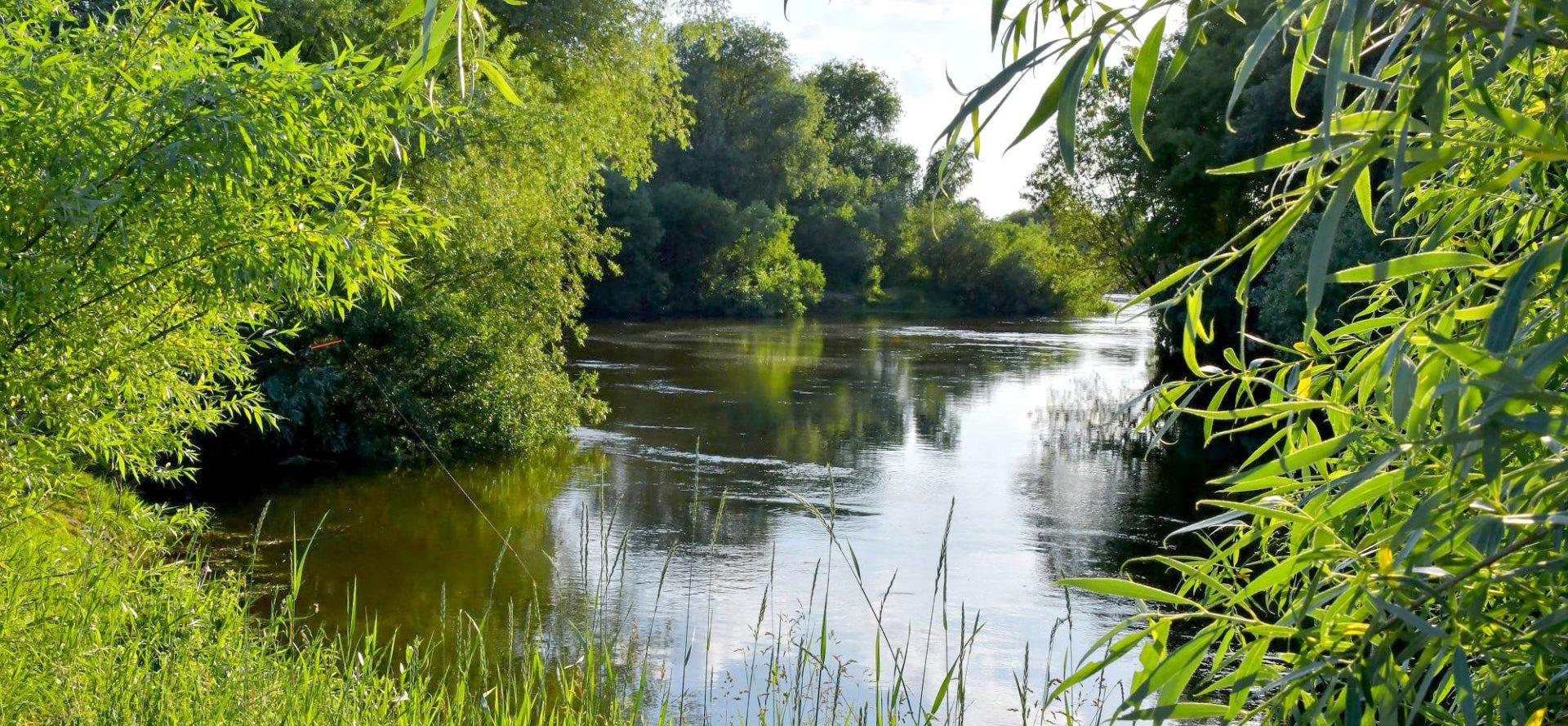 Вода у річці поруч з Рівненською атомкою відповідає нормам