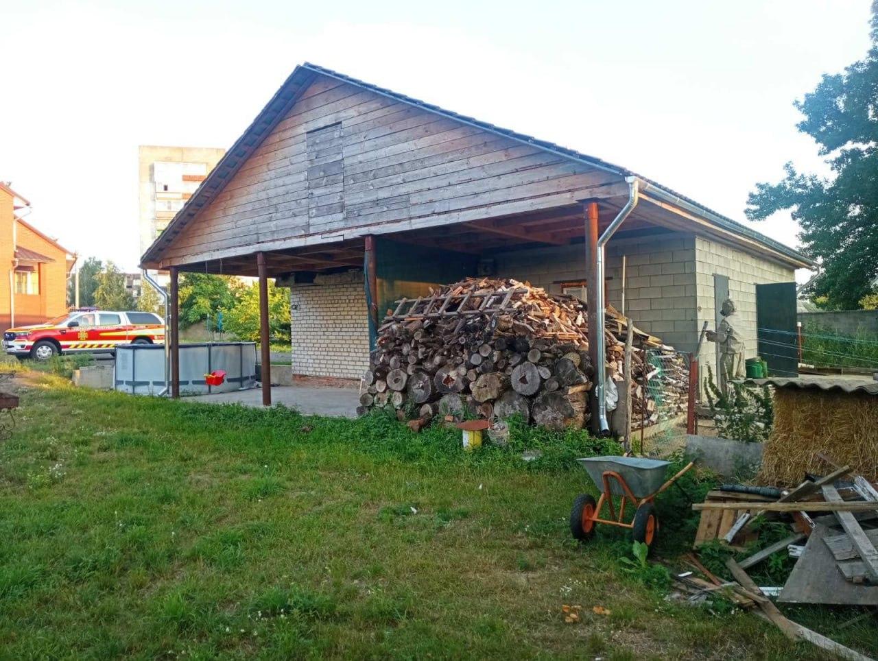 Осине гніздо знешкодили у Вараші