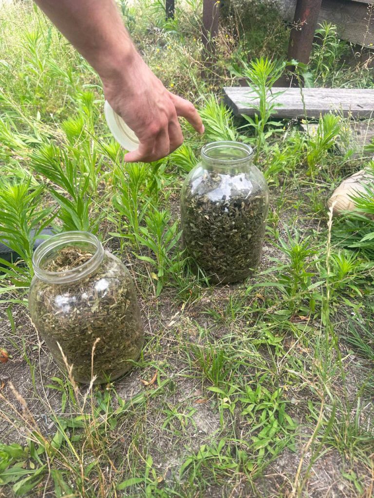 Речові докази
