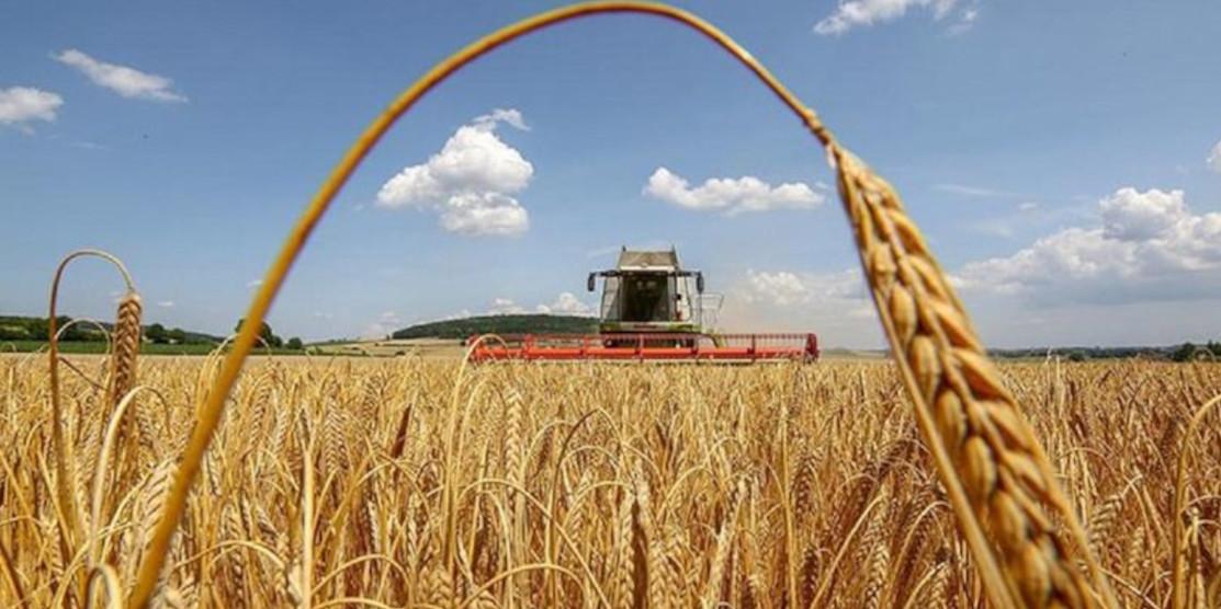 На Рівненщині розпочався збір ранніх культур