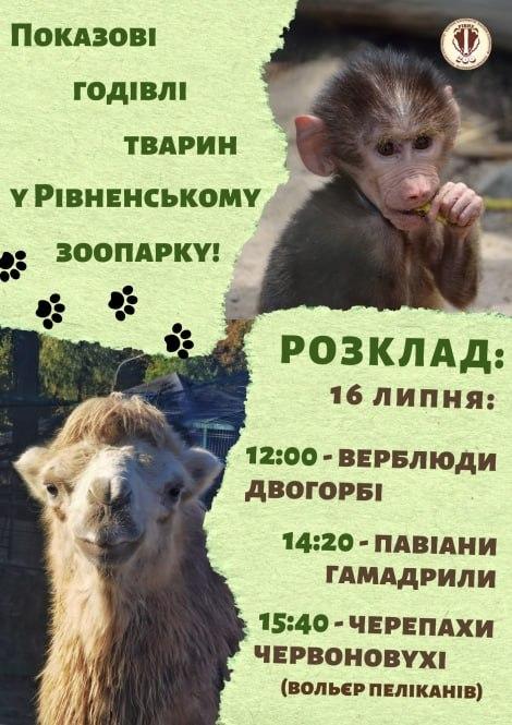 Показові годівлі тварин у зоопарку Рівного