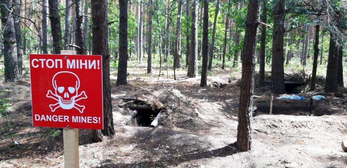 Відвідування лісів суворо заборонено у шести прикордонних громадах Рівненщини