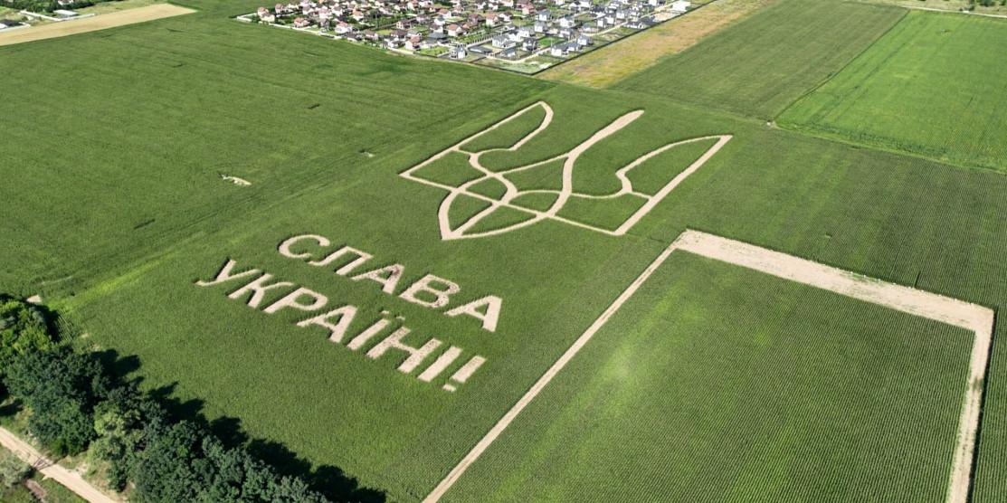 Найбільшу площу герба та напису Слава Україні на кукурудзяному полі занесено до книги рекордів Гіннеса України